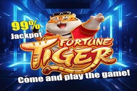 Soju87 bingo tips strategi bermain cerdas – panduan memilih kartu dan ruangan terbaik